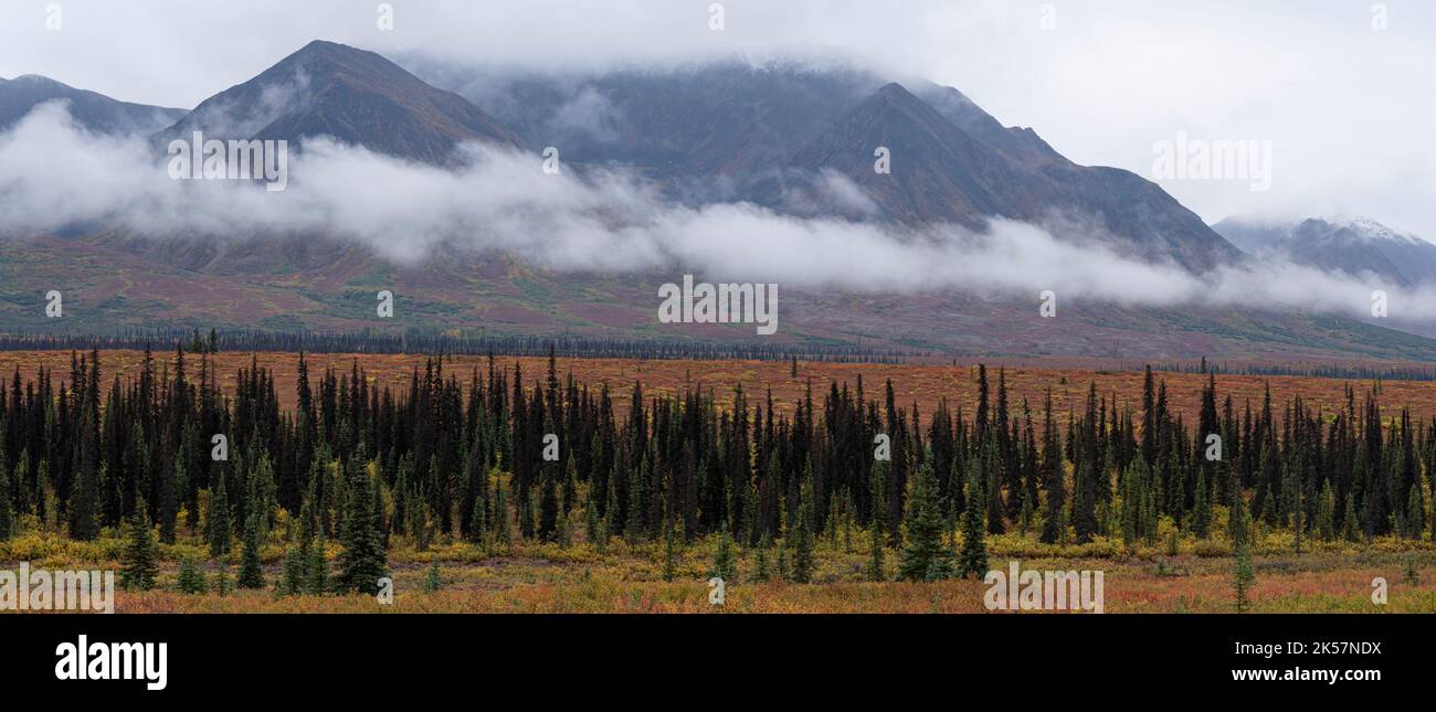 Berge, Wolken und Herbstfarben entlang des George Parks Highway (Route 3) in der Nähe des Mirror Lake in Alaska. Stockfoto