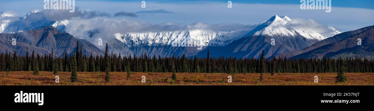 Berge in der Nähe des Summit Lake entlang des George Parks Highway (Route 3) in Alaska, gesehen im September mit Herbstfarbe. Stockfoto
