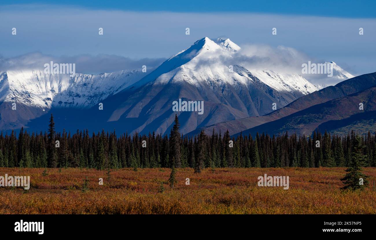 Berge in der Nähe des Summit Lake entlang des George Parks Highway (Route 3) in Alaska, gesehen im September mit Herbstfarbe. Stockfoto