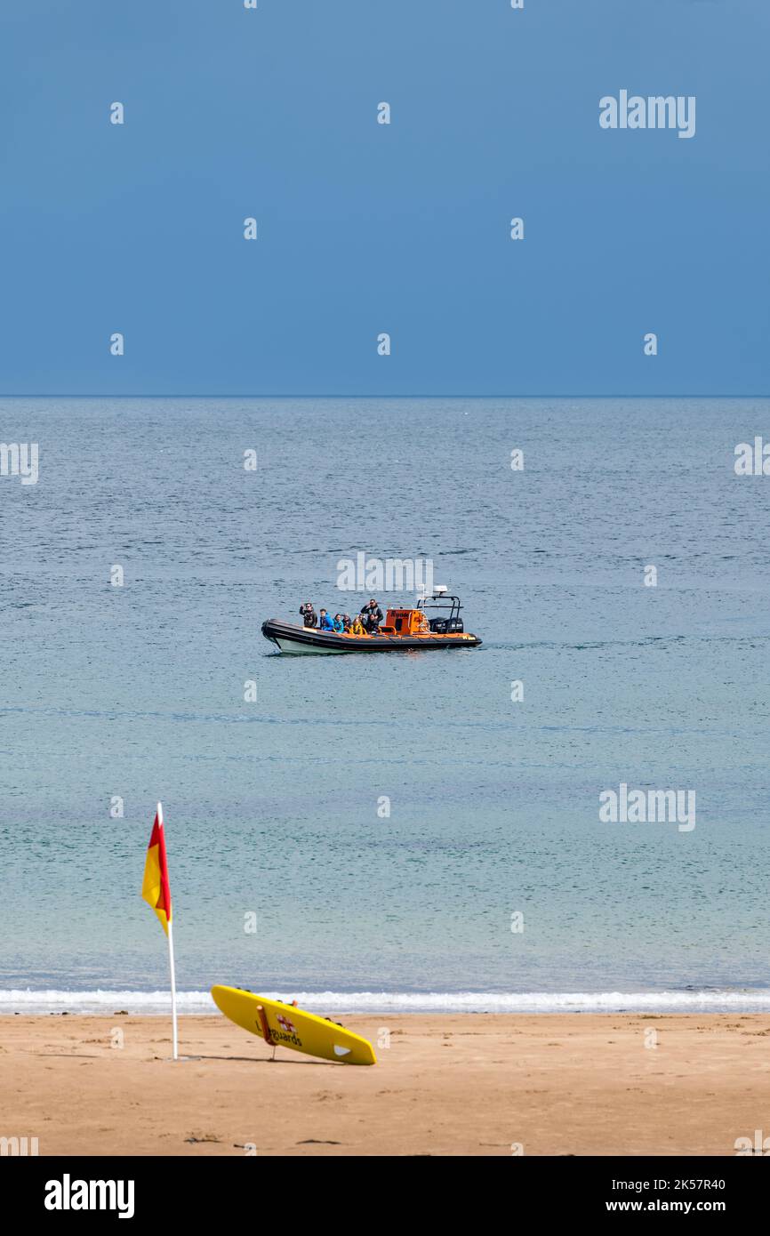 Touristen in einem starren Schlauchboot bei Sommerwetter, in der Nähe des Strandes mit Rettungsschwimmerflagge Coldingham Bay, Berwickshire, Schottland, Großbritannien Stockfoto