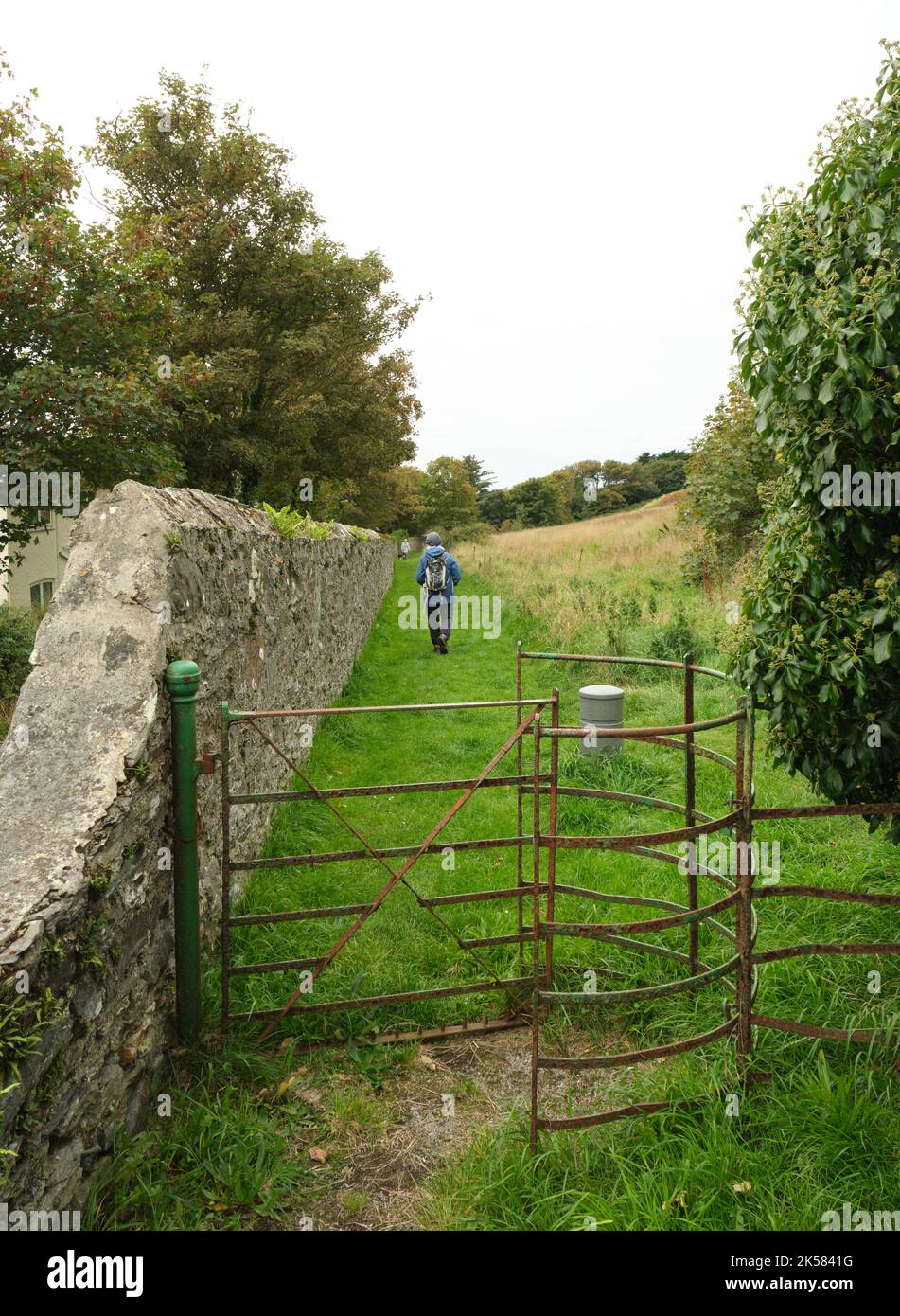 Ein ländlicher, eingezäunter Weg in Richtung Bradda Head, Port Erin, Isle of man Stockfoto Ein ländlicher, eingezäunter Weg in Richtung Bradda Head, Port Erin, Isle of man Stockfoto