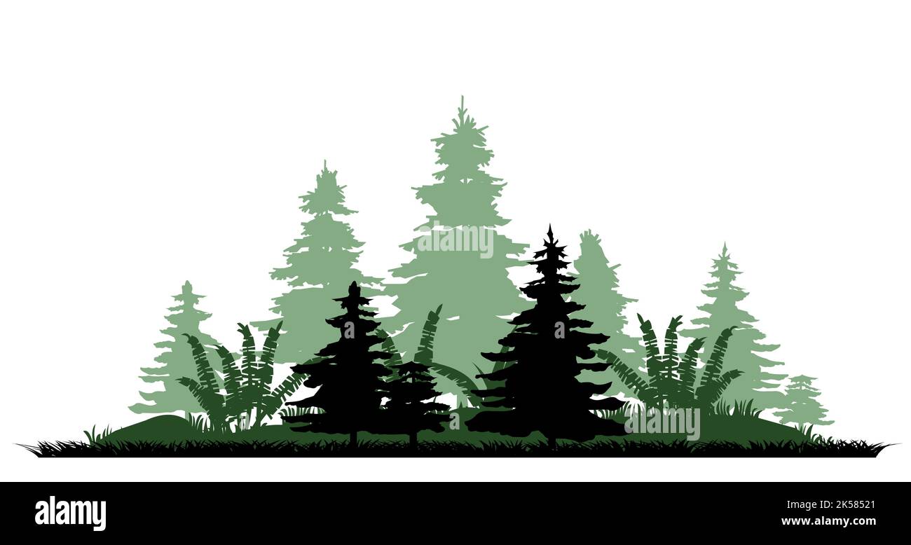 Hügel mit Farnen. Nadelwald mit Tannen und Kiefern. Landschaft mit Bäumen und Gras. Silhouettenbild. Isoliert auf weißem Hintergrund. Vektor Stock Vektor