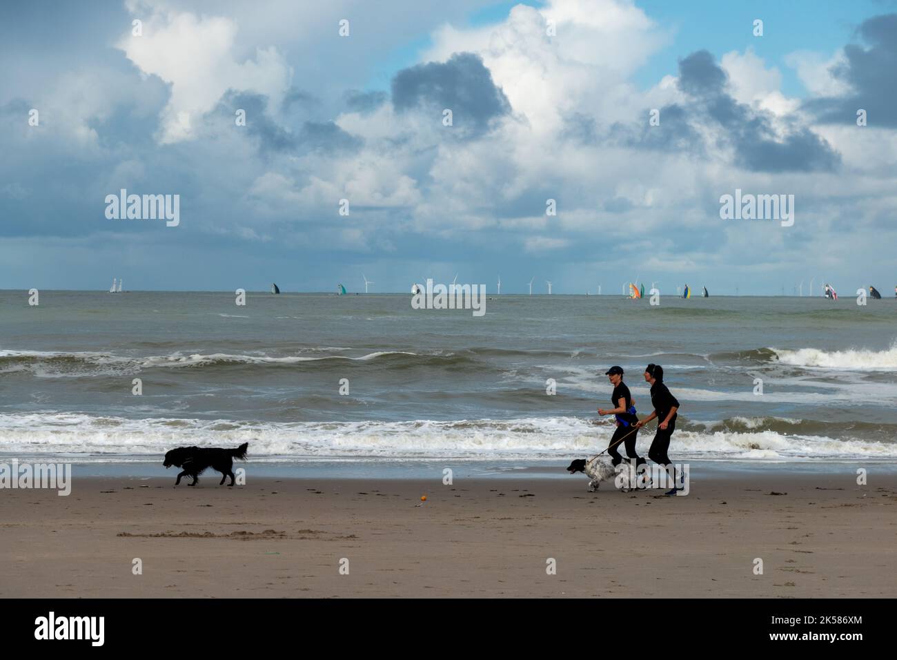 Laufen von Frauen mit Hunden am Strand mit Wellen auf dem Meer und dunklen Wolken in Holland Stockfoto