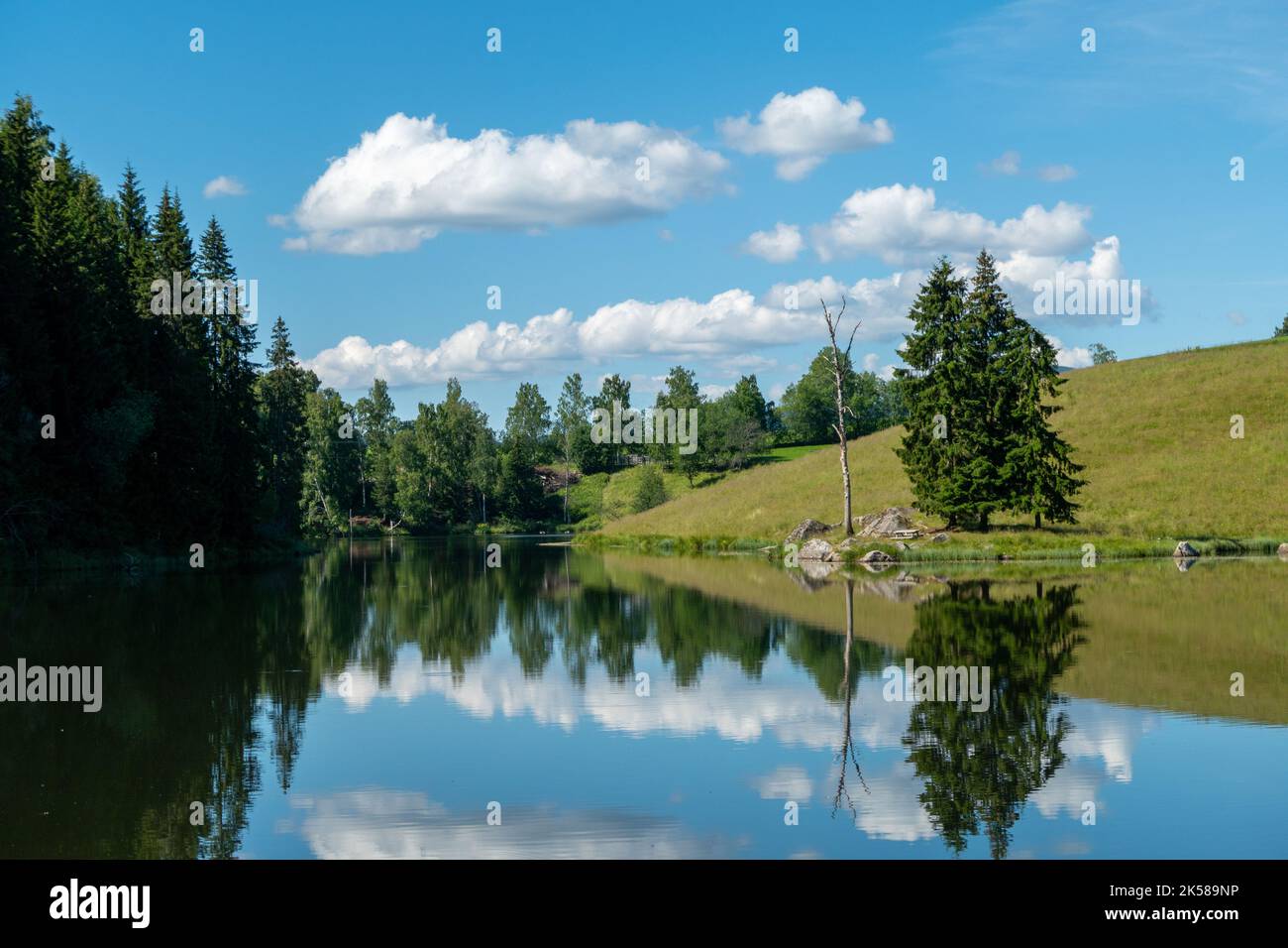 Kleiner See im ländlichen Norwegen Stockfoto