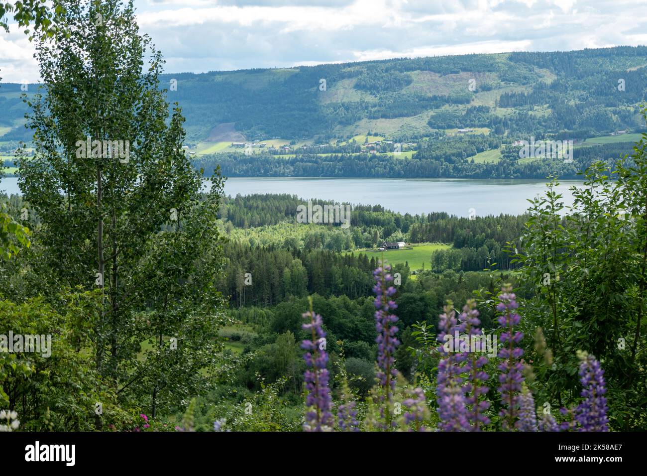 Blick auf den Gudbrandsdalslågen Fjord in Norwegen Stockfoto