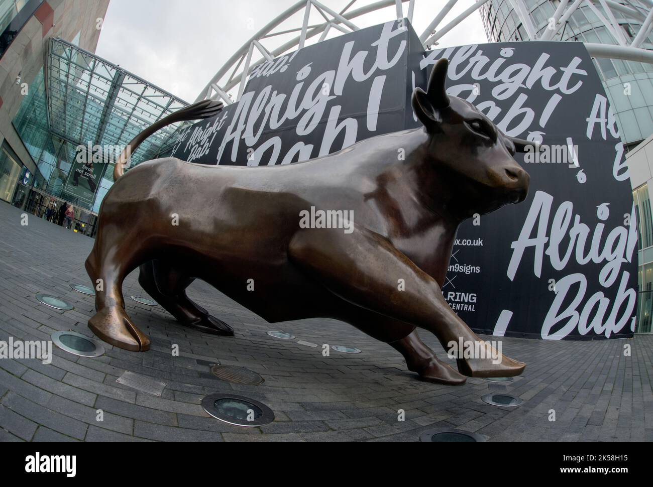 Birmingham Bull Sculpture by the Bullring Shopping Centre, Eingang Birmingham UK 2022 Stockfoto