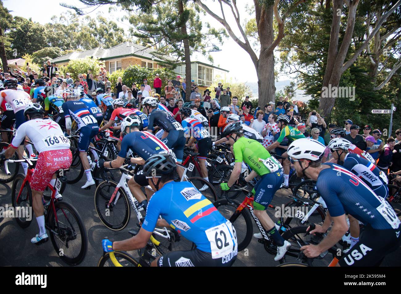 Das Männerpeloton klettert während des Elite Men's Road Race, der UCI Road Cycling World Championships 2022 in Wollongong, Australien, auf engstem Raum Stockfoto