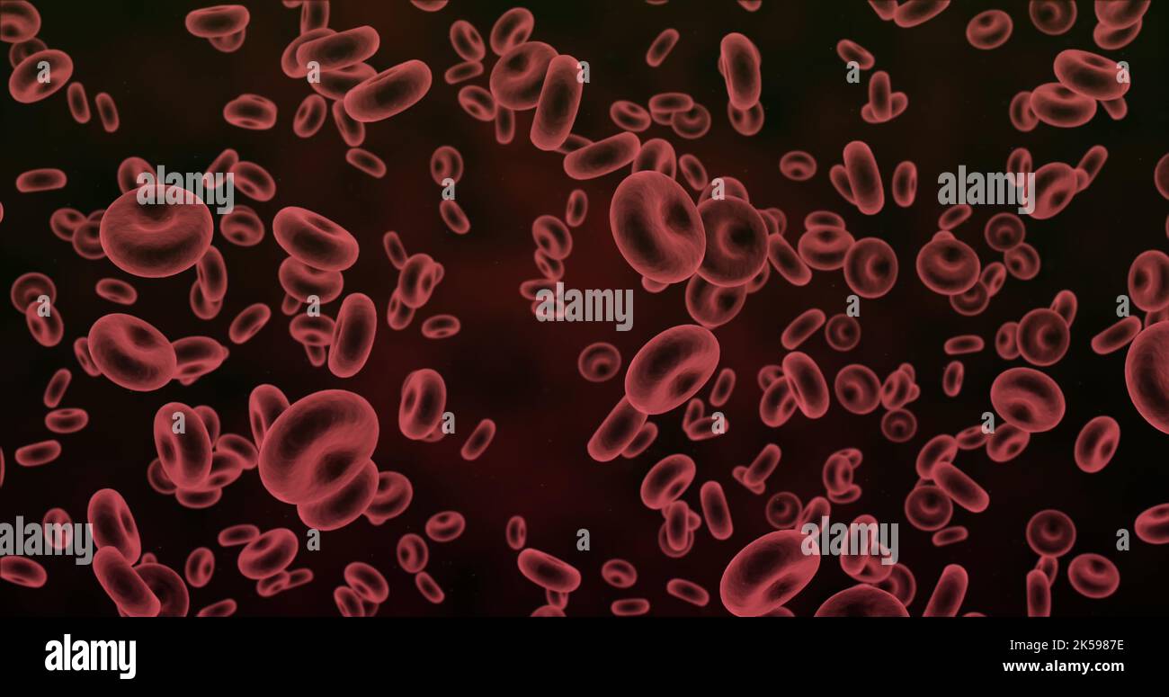 Vergrößerung fließender roter Blutkörperchen Stockfoto