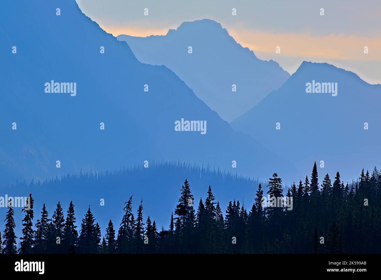 Ein nebliger Morgen in den Rocky Mountains von Alberta, Kanada Stockfoto