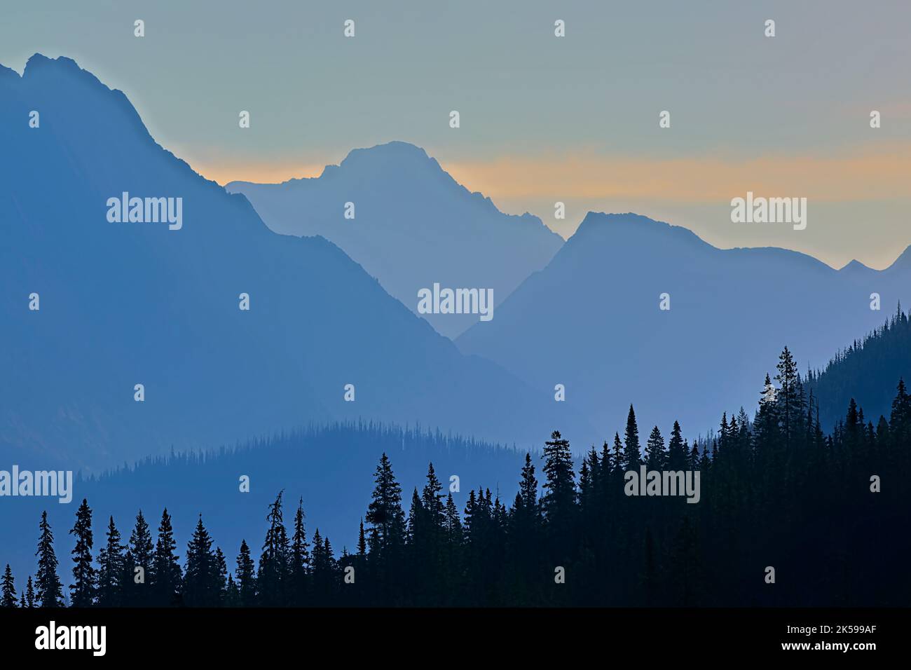 Ein nebliger Morgen in den Rocky Mountains von Alberta, Kanada Stockfoto