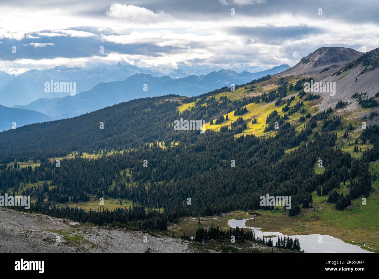 Weitläufiger Blick auf die Black Tusk, zwischen Wäldern und Gipfeln. Stockfoto