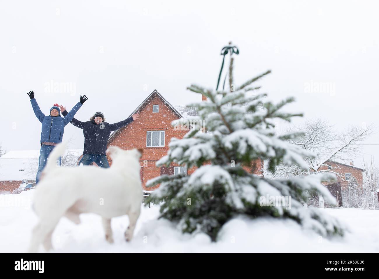 Zwei Männer springen im Winter in einer Schneewehe nahe dem Weihnachtsbaum auf und ein Hund verdirbt den Rahmen. Vorderansicht. Stockfoto