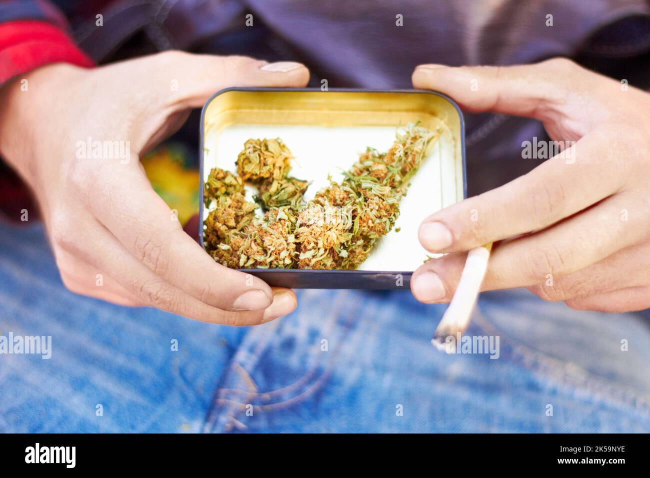 Auf dem Highway zur Hölle. Nahaufnahme einer Hand, die eine Dose Marihuanaköpfe und ein Gelenk hält. Stockfoto