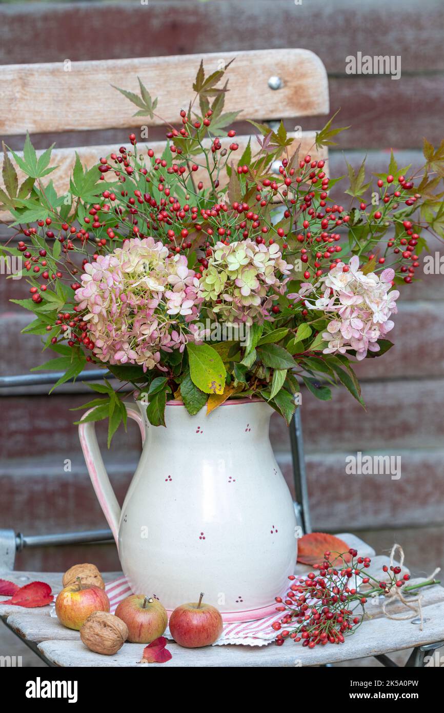 Hortensie verlässt herbst -Fotos und -Bildmaterial in hoher Auflösung – Alamy
