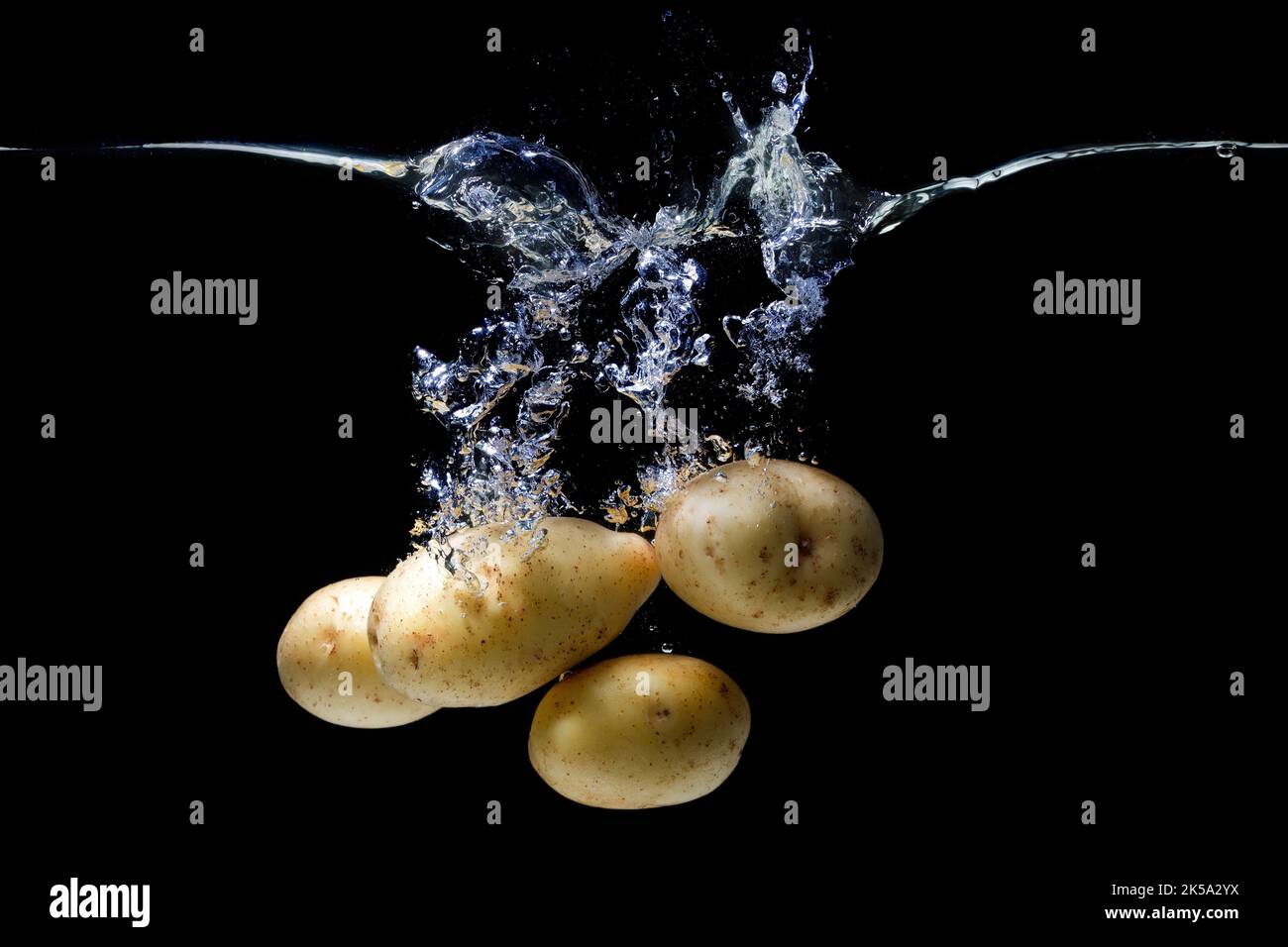 Ein Haufen frischer Kartoffeln fiel in einen durchsichtigen Wasserbehälter mit Spritzern auf Schwarz. Stockfoto