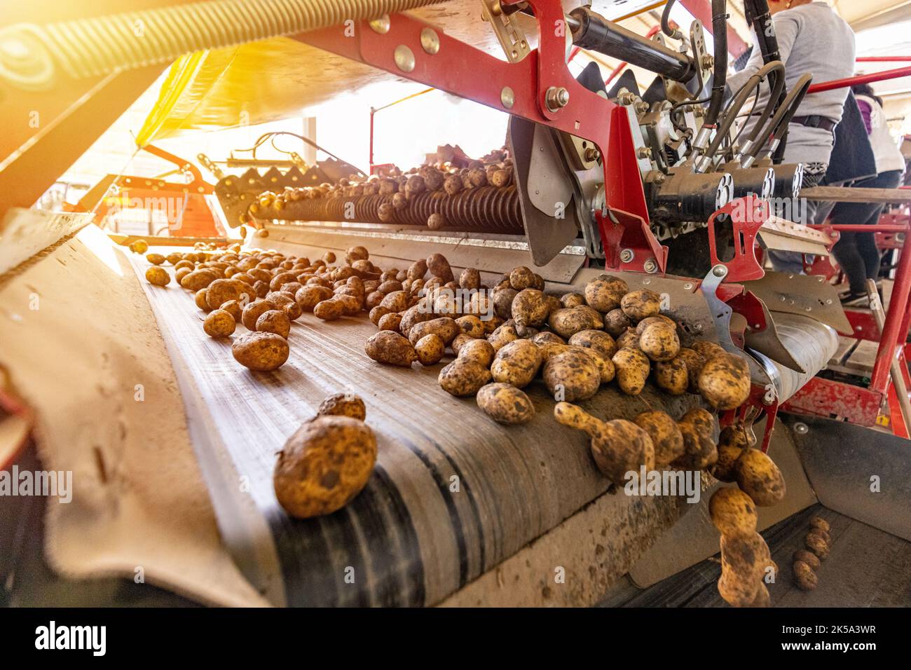Automatisiertes Konzept der Agrarindustrie Stockfoto