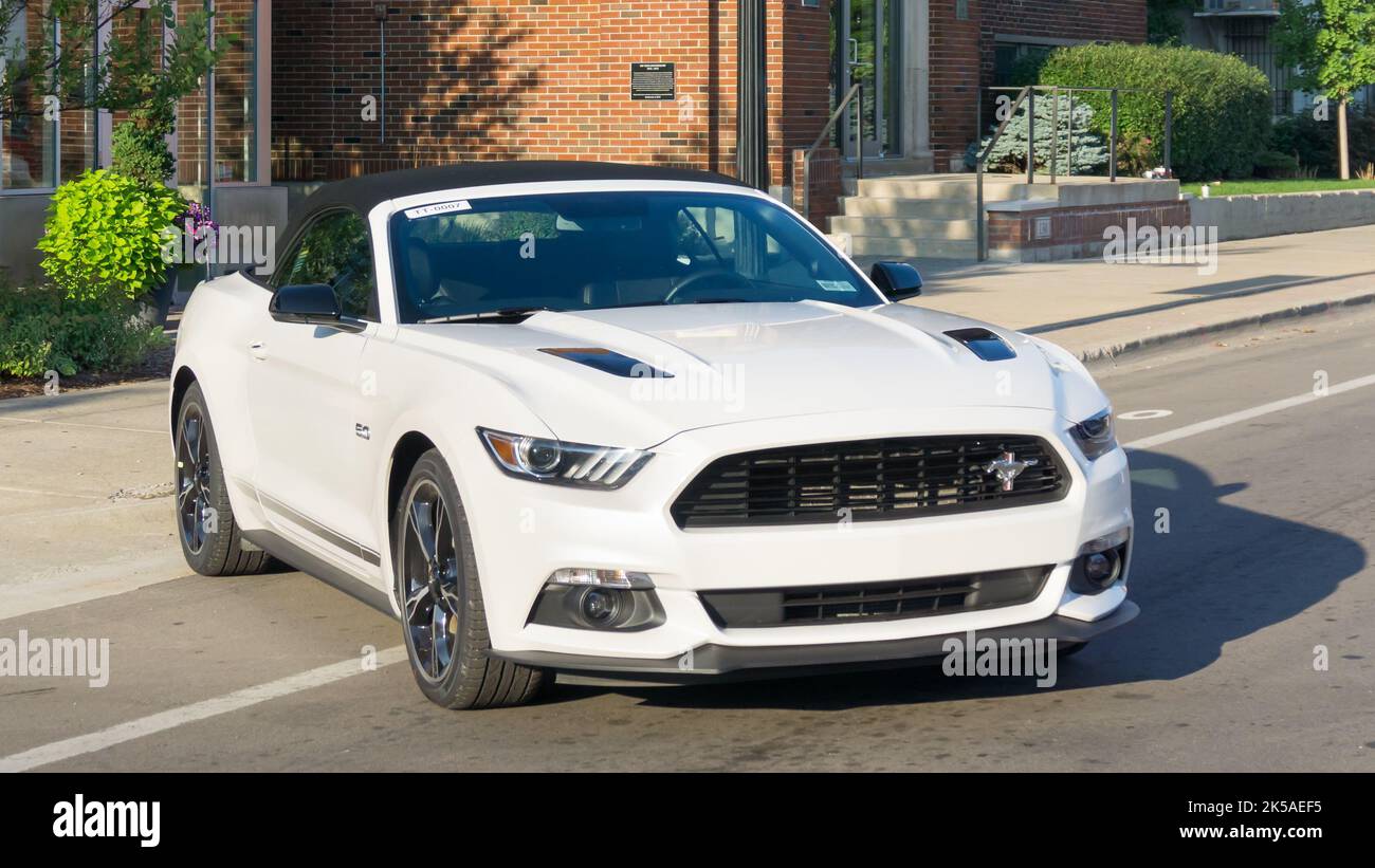 FERNDALE, MI/USA - 20. AUGUST 2016: Ein 2016 Ford Mustang GT in der Mustang Alley, Woodward Dream Cruise. Stockfoto