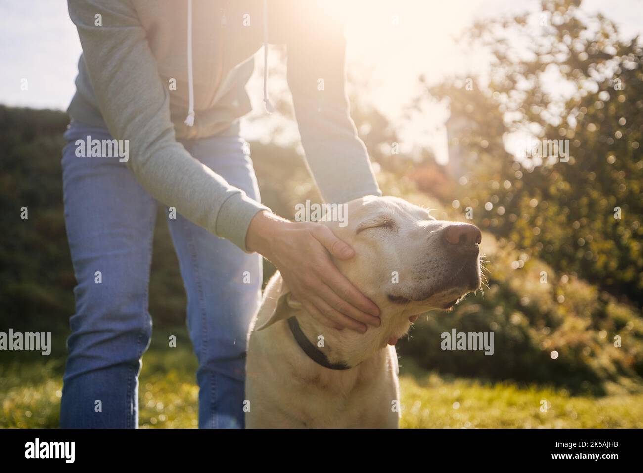 Mann streichelte seinen alten Hund. Zufriedener Hund genießt sonnigen Herbsttag mit seinem Haustierbesitzer. Stockfoto