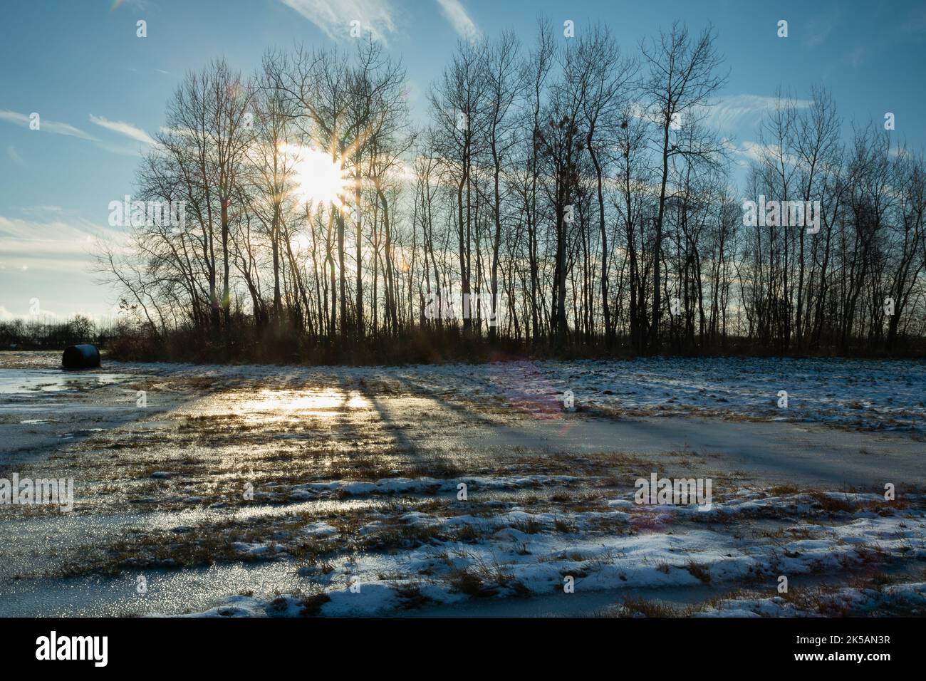 Eine gefrorene nasse Wiese und die Sonne hinter den Bäumen Stockfoto
