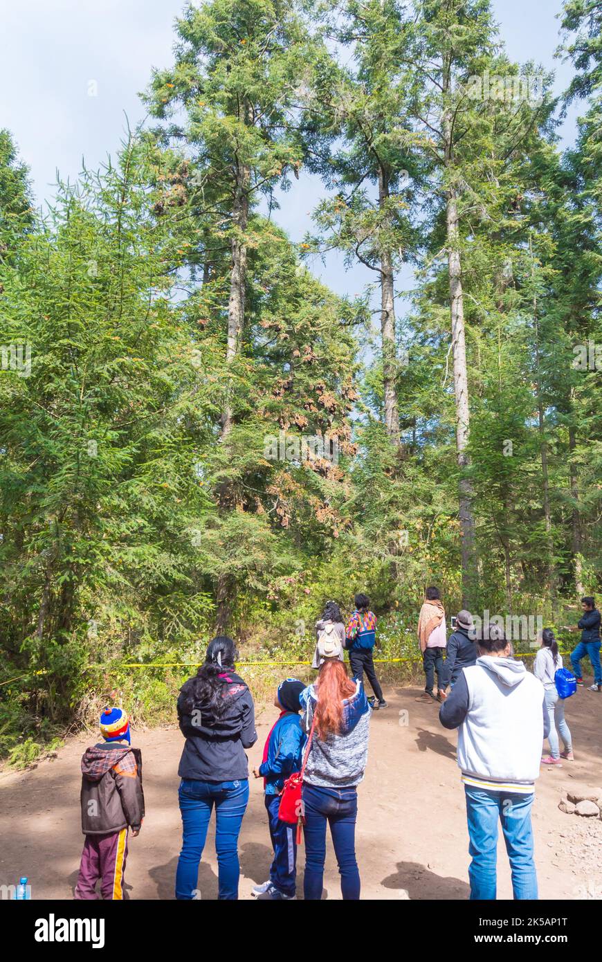 Angangueo, Michoacán, Mexiko, 8.. August 2018: Menschen beobachten Monarchen-Monarchfalter (Danaus plexippus), die am Monarchen Butte überwintern Stockfoto