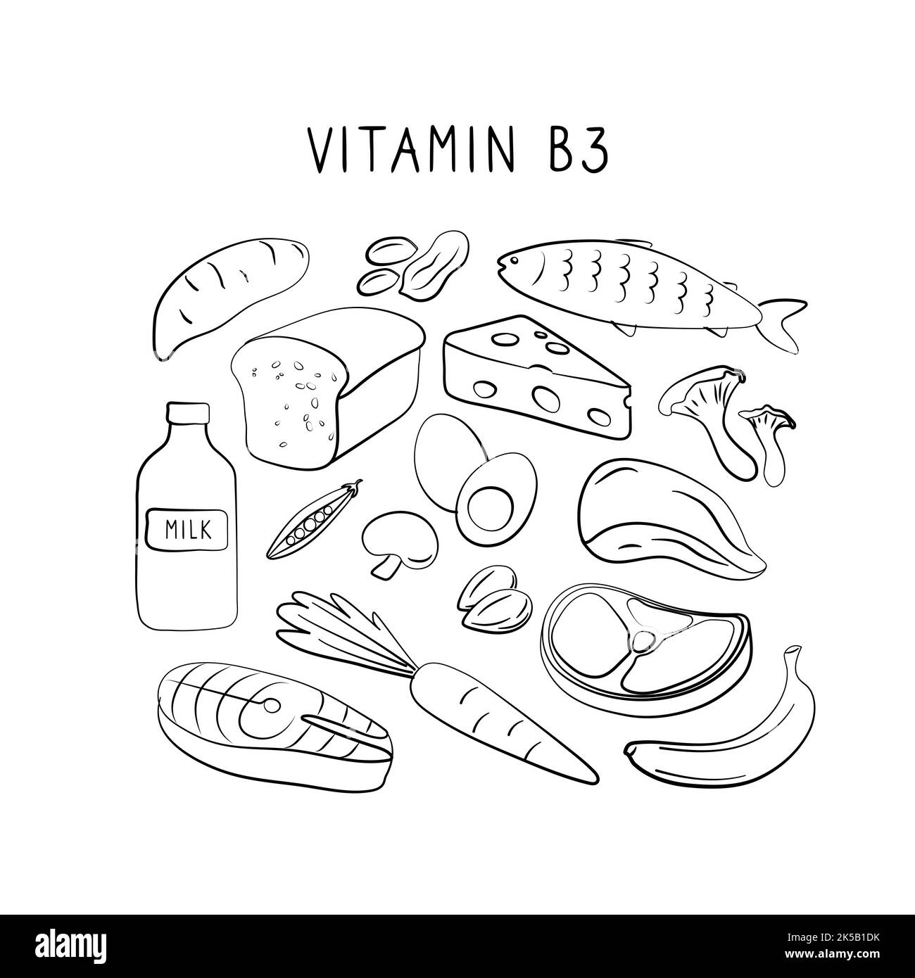 Vitamin B3 Niacinamid Vitamin PP Niacin Nicotinamid. Gruppen von gesunden Lebensmitteln, die Vitamine enthalten. Set aus Obst, Gemüse, Fleisch, Fisch und Dair Stock Vektor