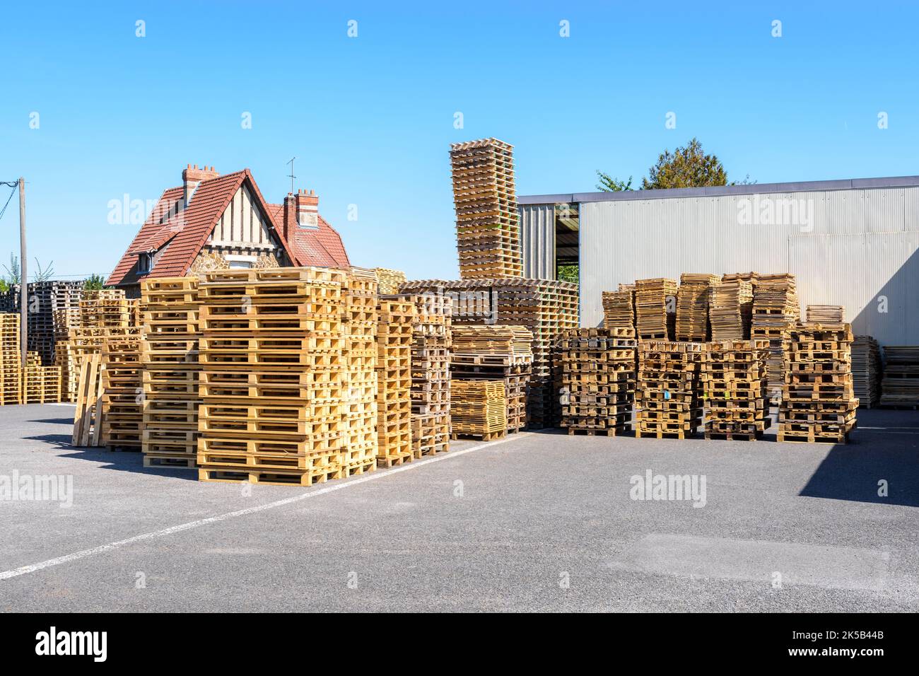 Neue und gebrauchte Holzpaletten, die an einem sonnigen Tag im Innenhof eines Lagerhauses gestapelt wurden. Stockfoto