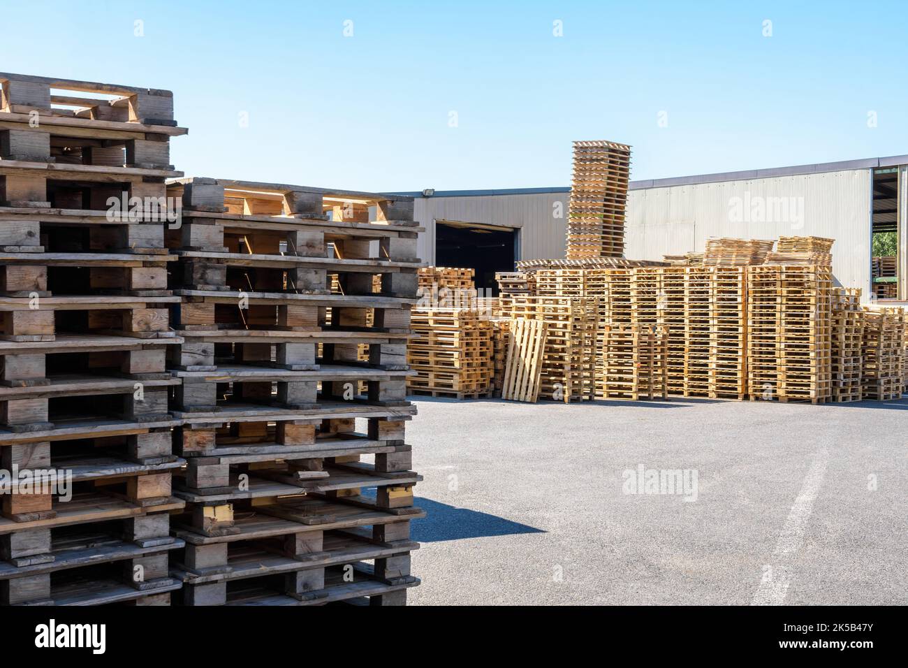 Neue und gebrauchte Holzpaletten, die an einem sonnigen Tag im Innenhof eines Lagerhauses gestapelt wurden. Stockfoto