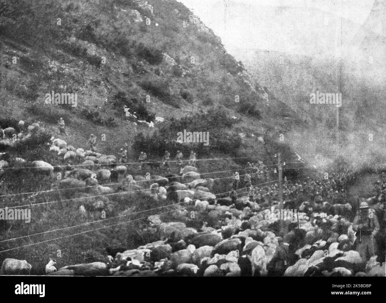 'Le repli des troupes Francaises vers Salonique; --Passage du defile de Demir-Kapou, ou il n'y a de place que pour la voie ferree entre le Vardar et la montagne : au fond, debouche un Regiment ; au Premier Plan, betail que nos soldats chassent devant eux', 1916. Aus "Collection de la Guerre IV. L'Illustration Tome CXLVII. La Guerre Janvier, Fevrier, Mars, Avril, Mai, Juin 1916“. Stockfoto