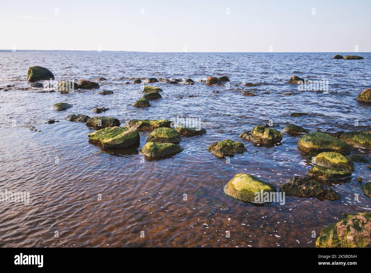 Nasse Küstensteine mit Algen befinden sich im flachen Wasser der Ostsee. Golf von Finnland, Küstenlandschaft Stockfoto