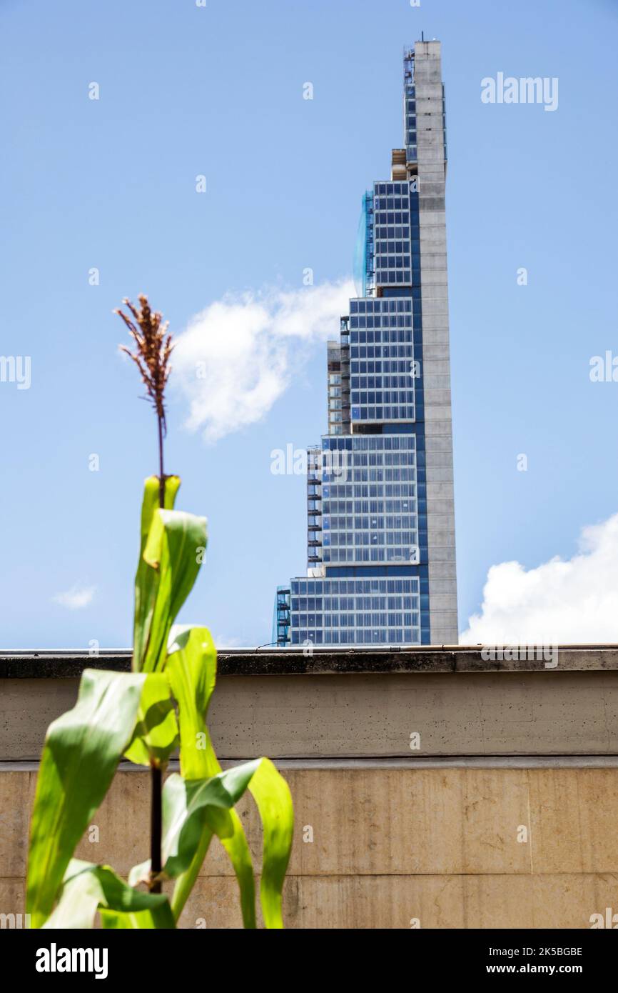Bogota Kolumbien, Santa Fe, BD Bacata Torre Sur Crowdfunding Hotel Wohngebäude Wolkenkratzer zeitgenössische Architektur Mais Mais Pflanze hoch dünn dünn, Stadt Stockfoto