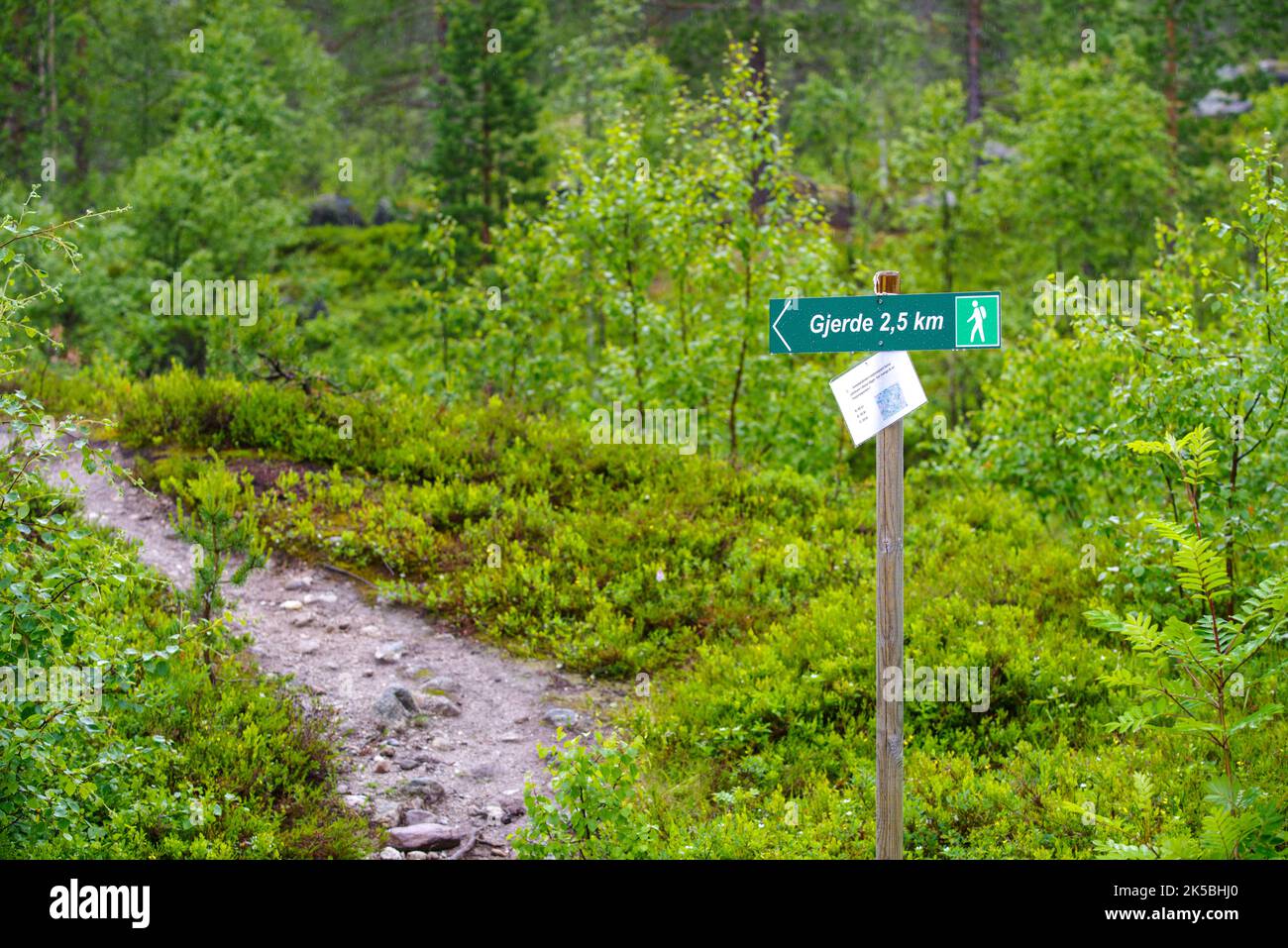 Wanderweg zum nigardsbreen Gletscher in Ajostedal, Norwegen Stockfoto