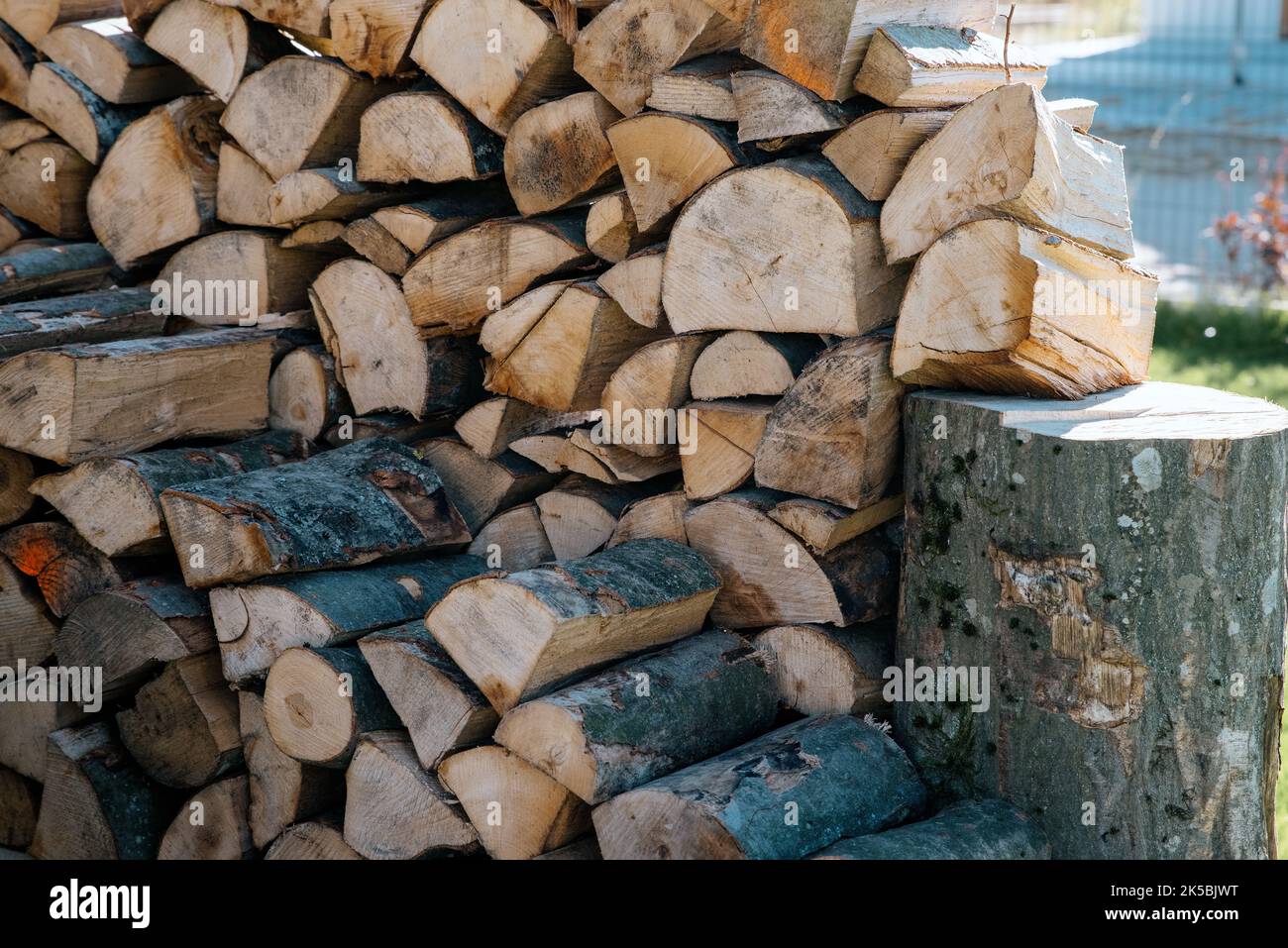 Buchenholz für den Kamin Stockfoto