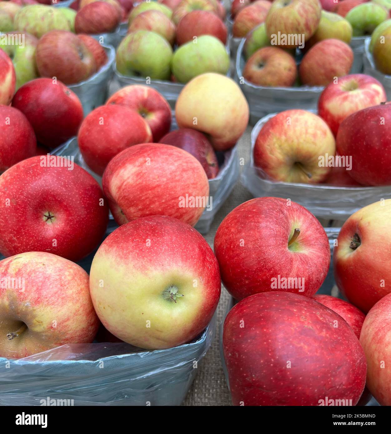 Körbe mit frisch geernteten Äpfeln an einem Stand am Straßenrand in New York. Stockfoto