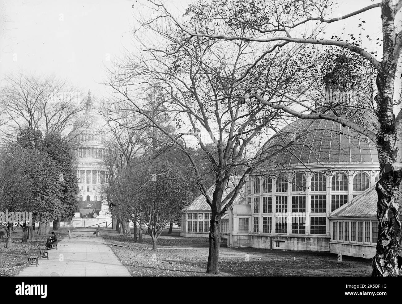 Botanischer Garten Im Capitol, 1917. Stockfoto