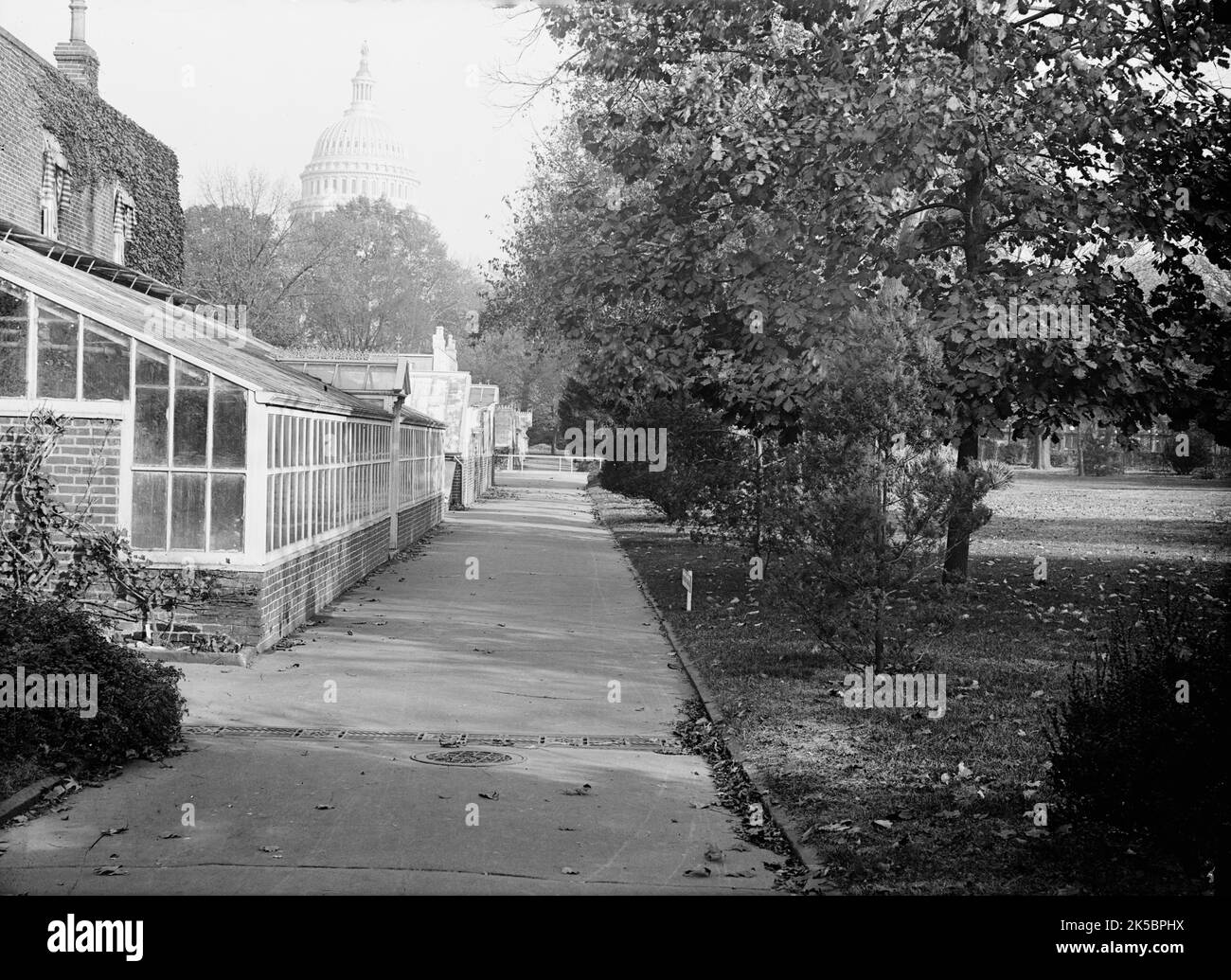 Botanischer Garten Im Capitol, 1917. Stockfoto