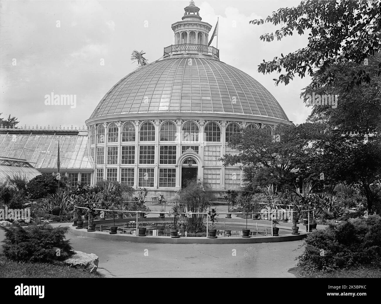 Botanischer Garten, 1917 oder 1918. Stockfoto