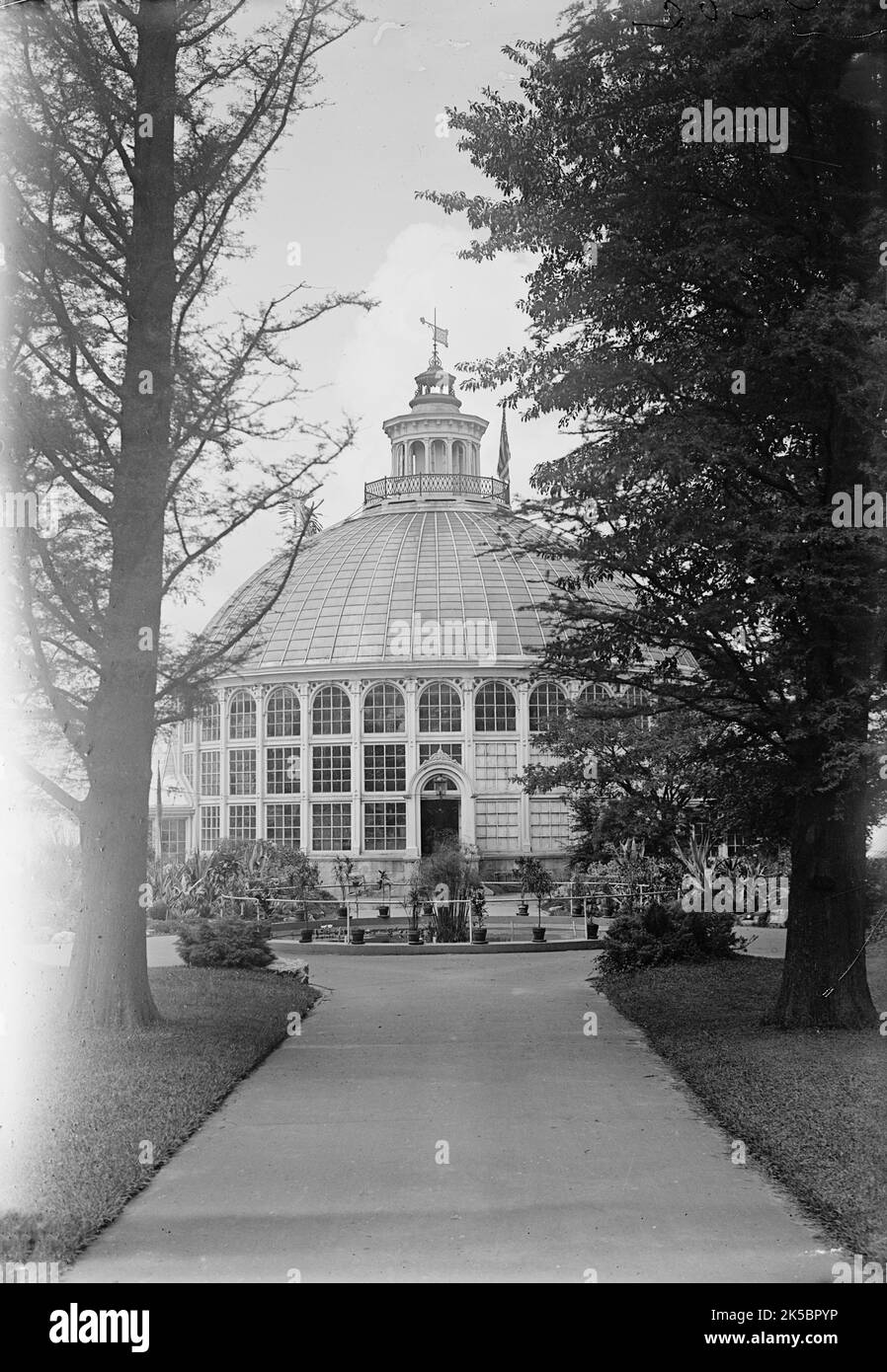 Botanischer Garten, 1917 oder 1918. Stockfoto