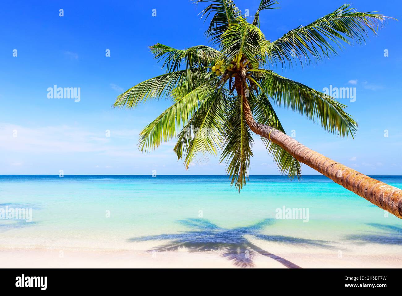Blick auf den schönen tropischen Strand und die Kokospalme. Reise Sommerurlaub Hintergrundkonzept. Stockfoto