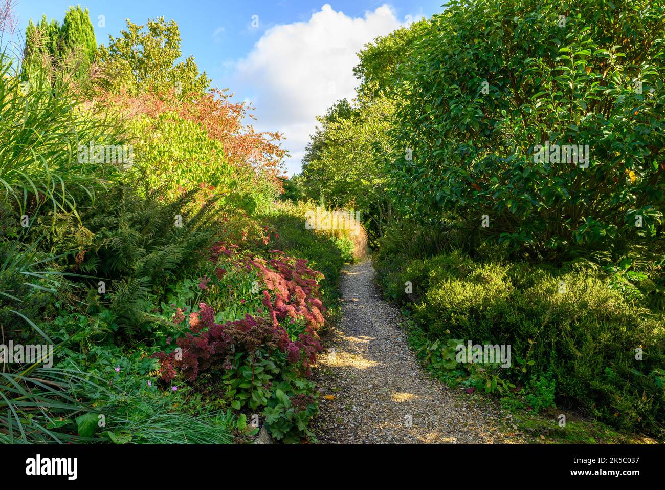 Farbenfrohe Bäume und Sträucher in Furzey Gardens, Minstead, New Forest, Hampshire, Großbritannien im Herbst Stockfoto