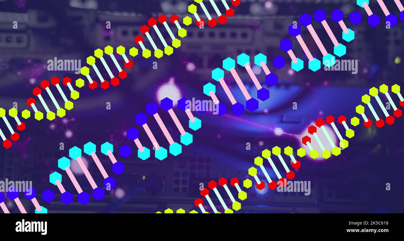 Bild der dna-Stränge über dem Serverraum Stockfoto