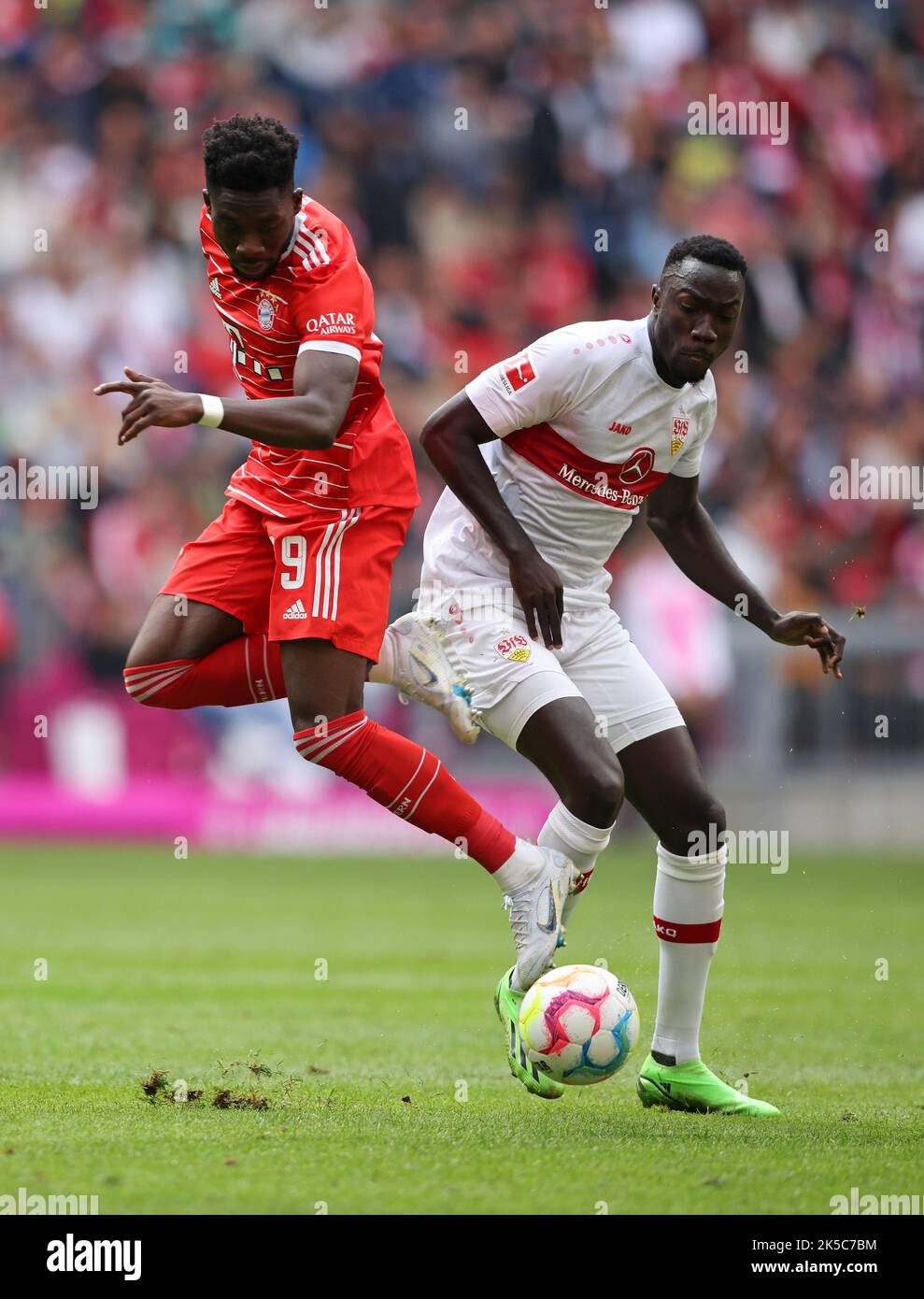 Alphonso Davies von Bayern München Silas Katompa Mvumpa vom VFB Stuttgart FC Bayern München - VfB Stuttgart Fußball 1 . Bundesliga Saison 2022 / 2023 10.9.2022 © diebilderwelt / Alamy Stock Stockfoto