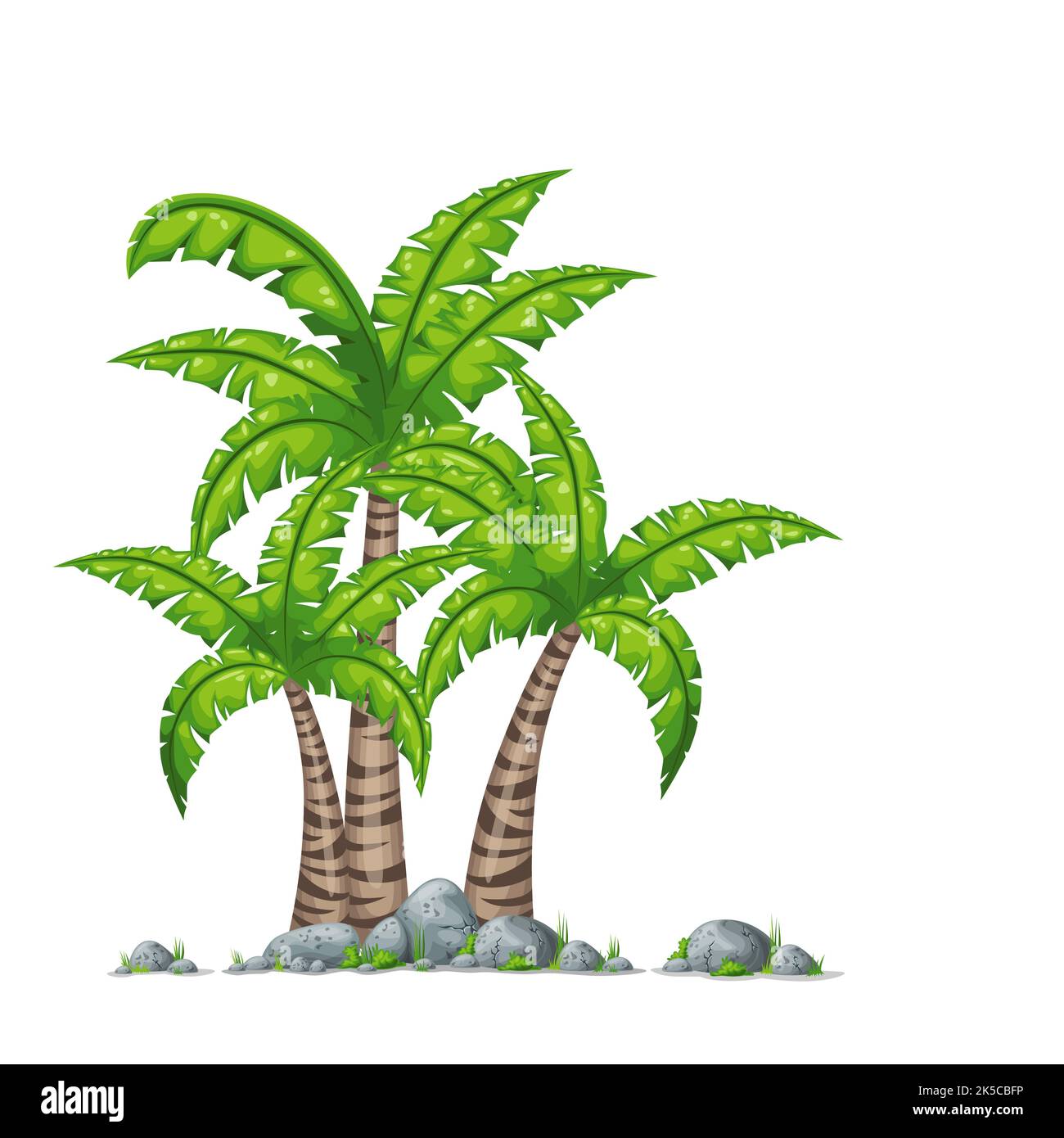 Darstellung der verschiedenen Palmen mit Steinen auf weißem Hintergrund Stockfoto