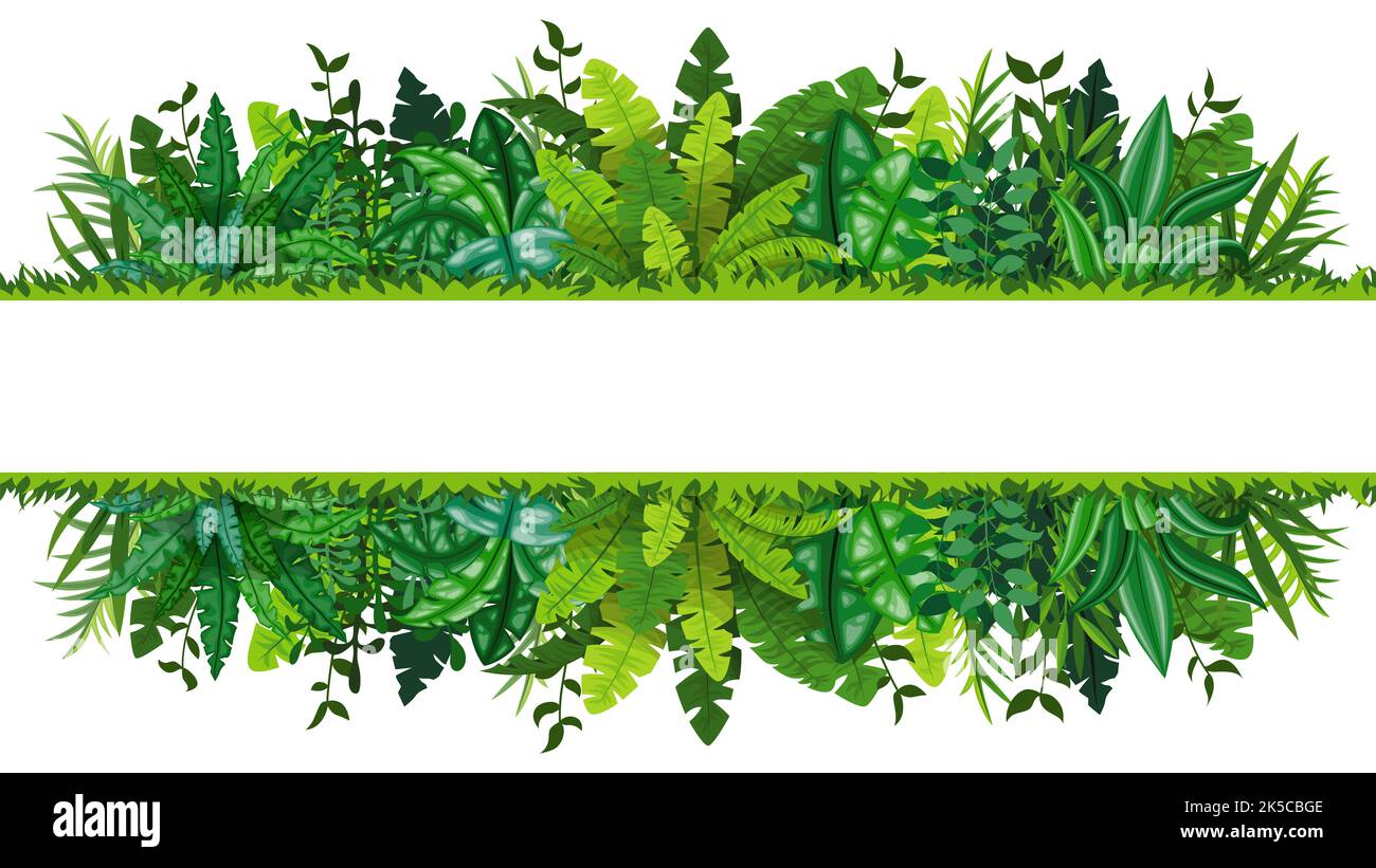 Abbildung eines tropischen Regenwald-Banners Stockfoto