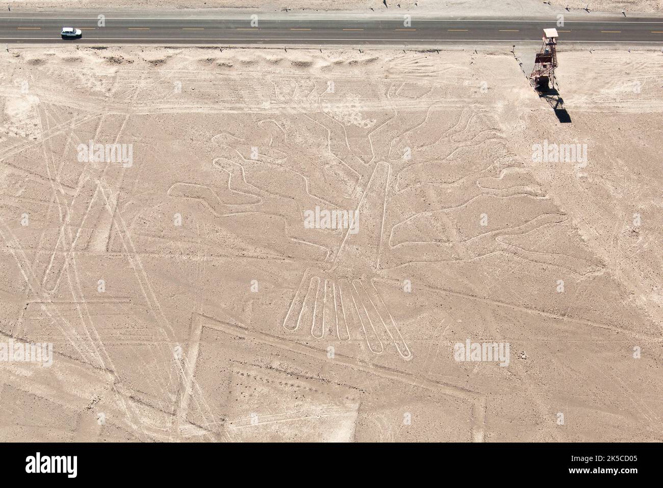 Nazca Lines, Der Baum Stockfoto