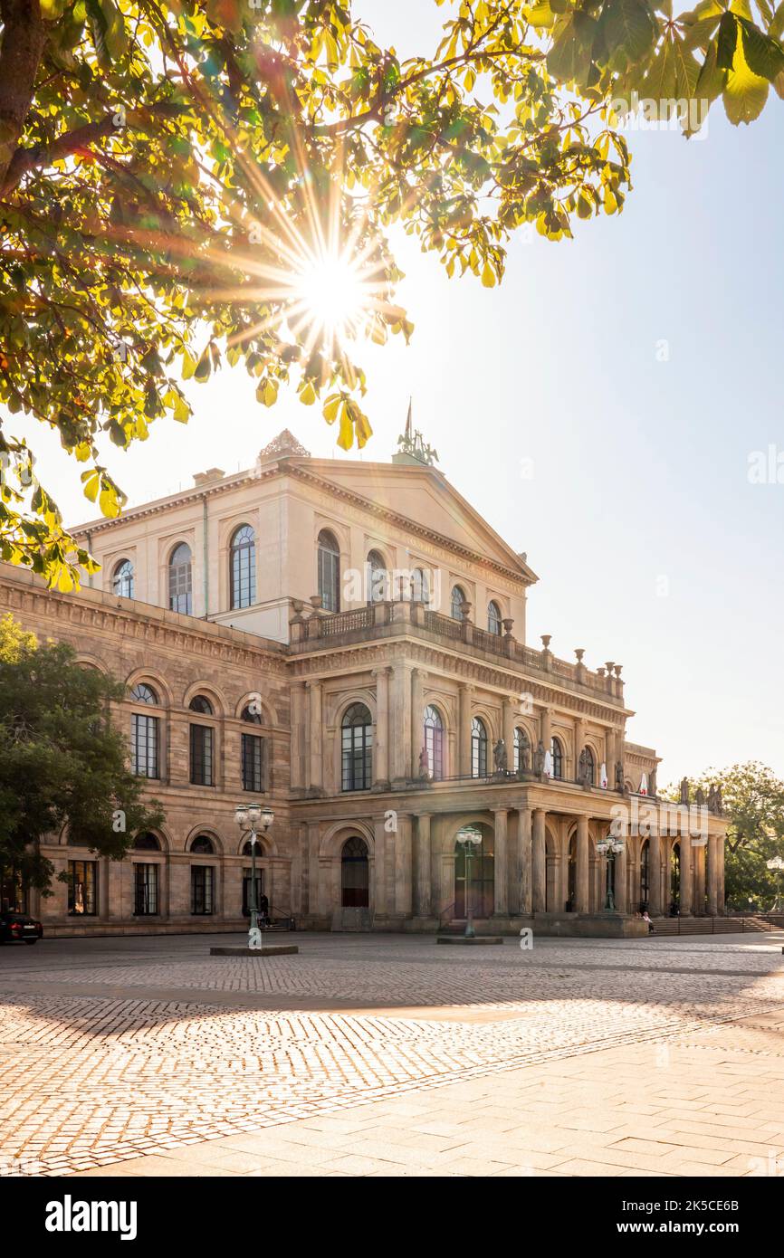 Morgen am Opernhaus in der grünen Stadt Hannover, Niedersachsen, Deutschland Stockfoto