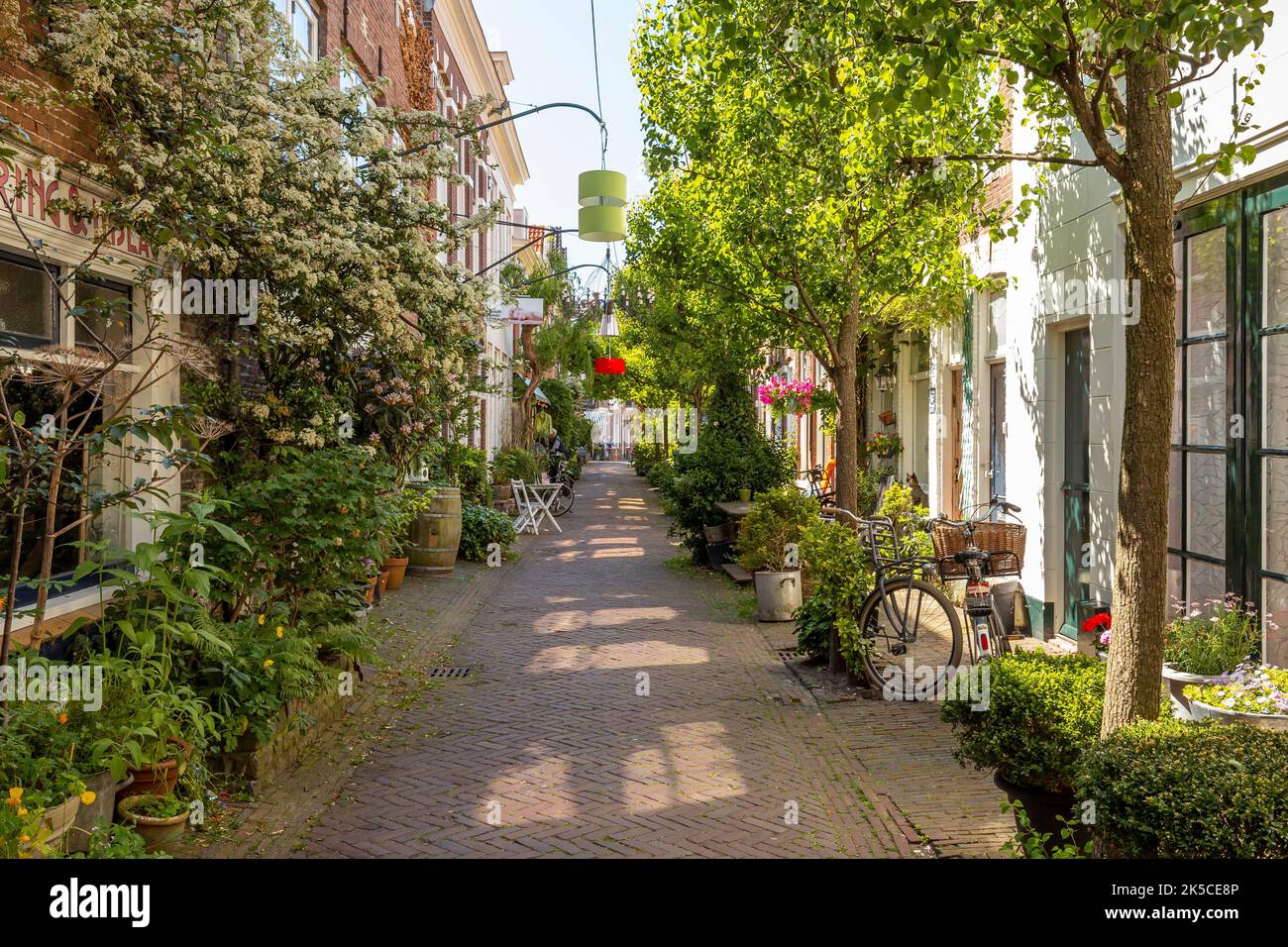 Gemütliche Atmosphäre in der Altstadt von Haarlem in der Nähe von Amsterdam, Niederlande, Europa Stockfoto