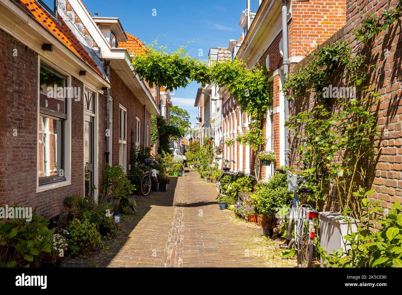 Gemütliche Atmosphäre in der Altstadt von Haarlem in der Nähe von Amsterdam, Niederlande, Europa Stockfoto