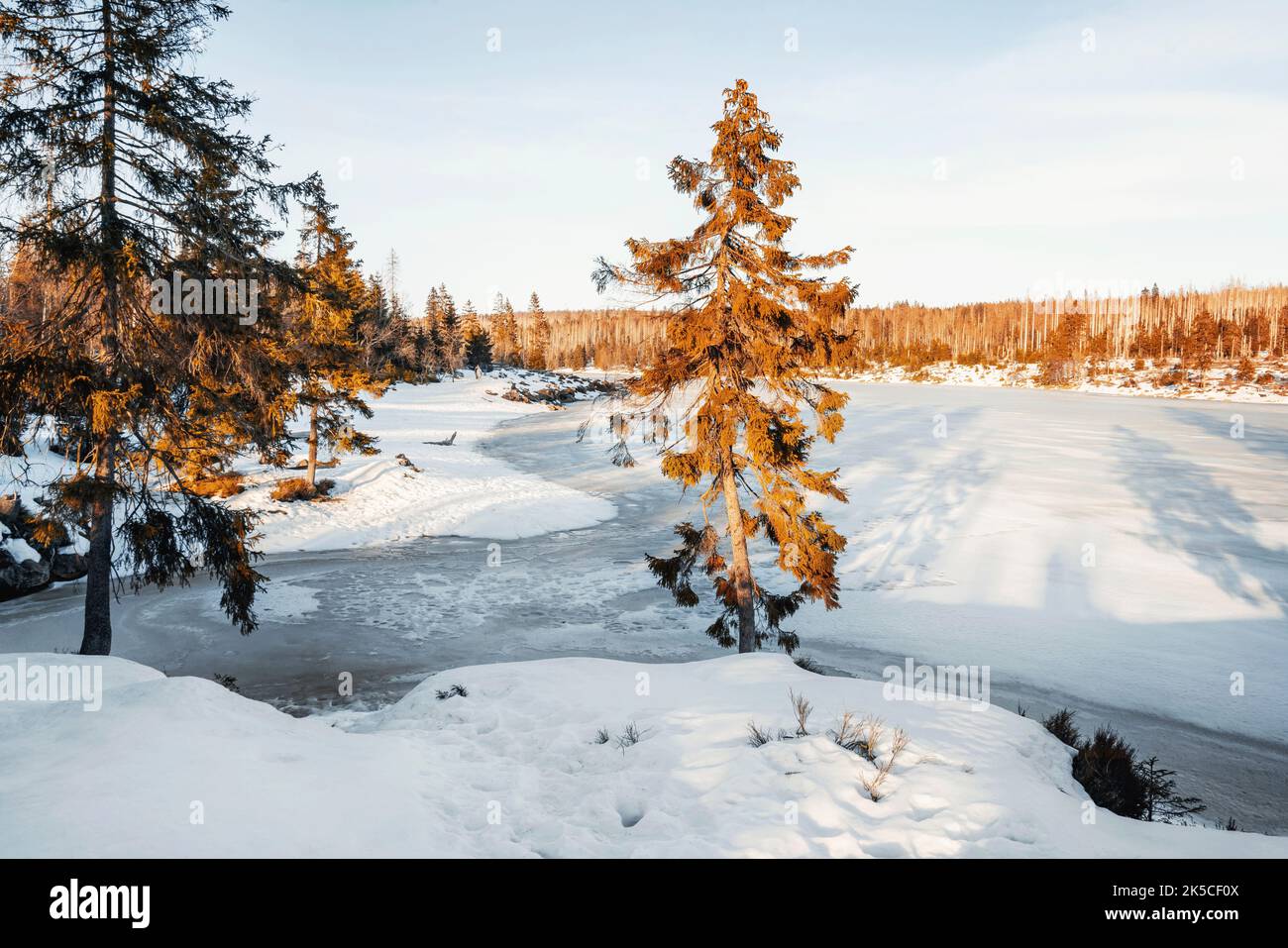 Winter am Oderteich Stausee im Harz bei Goslar und Braunlage
