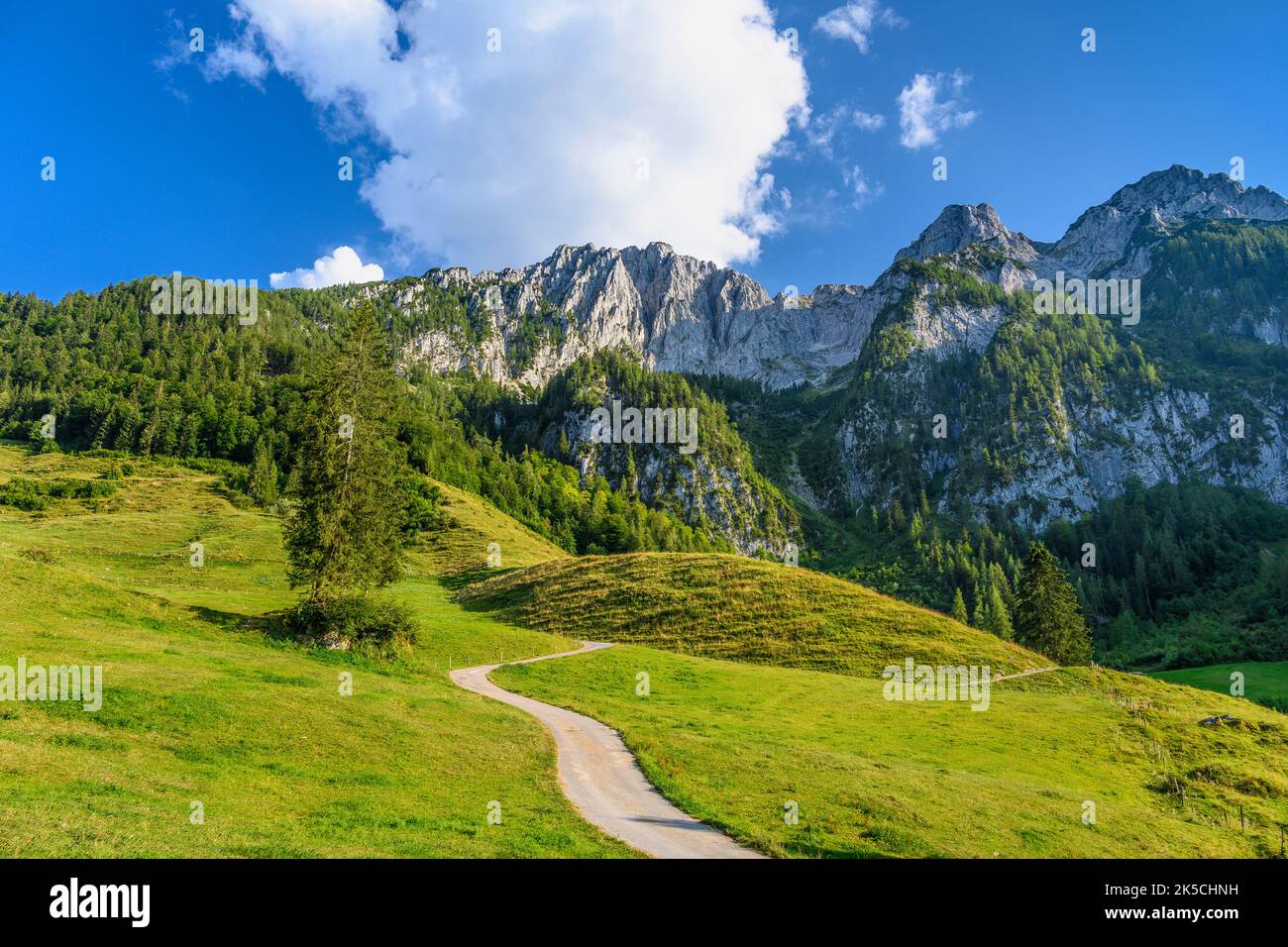 Österreich, Tirol, Unterinntal, Ebbs, Buchberg, Schöberl Alm, Zahmer Kaiser Stockfoto