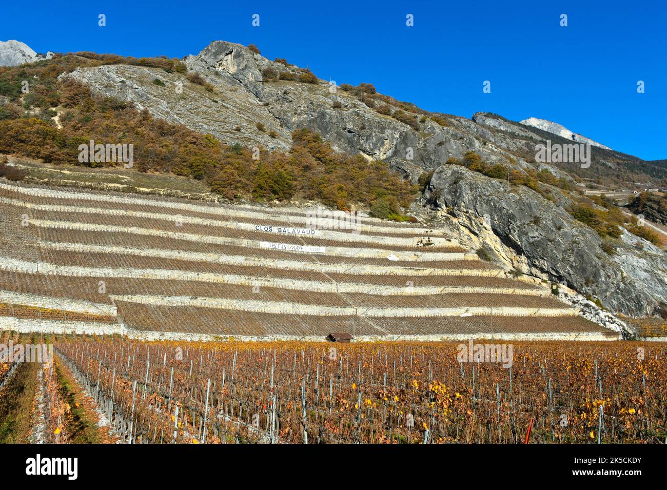 Weinbergterrassen für den Anbau des Weißweins Clos de Balavaud des Weingutes Fils Maye, Vetroz, Wallis, Schweiz Stockfoto